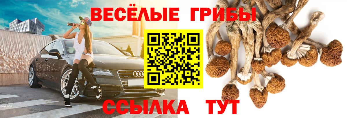 Псилоцибиновые грибы Psilocybe  Галлюциногенные грибы MAGIC MUSHROOMS  даркнет сайт  Вход с VPN  Саянск 